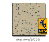 Safefloor Guard NFSI High Traction